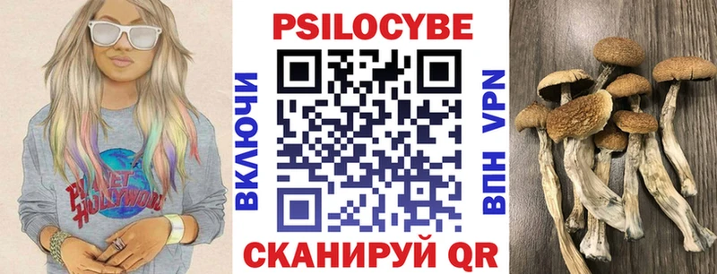 Галлюциногенные грибы мицелий  магазин  наркотиков  Вологда 
