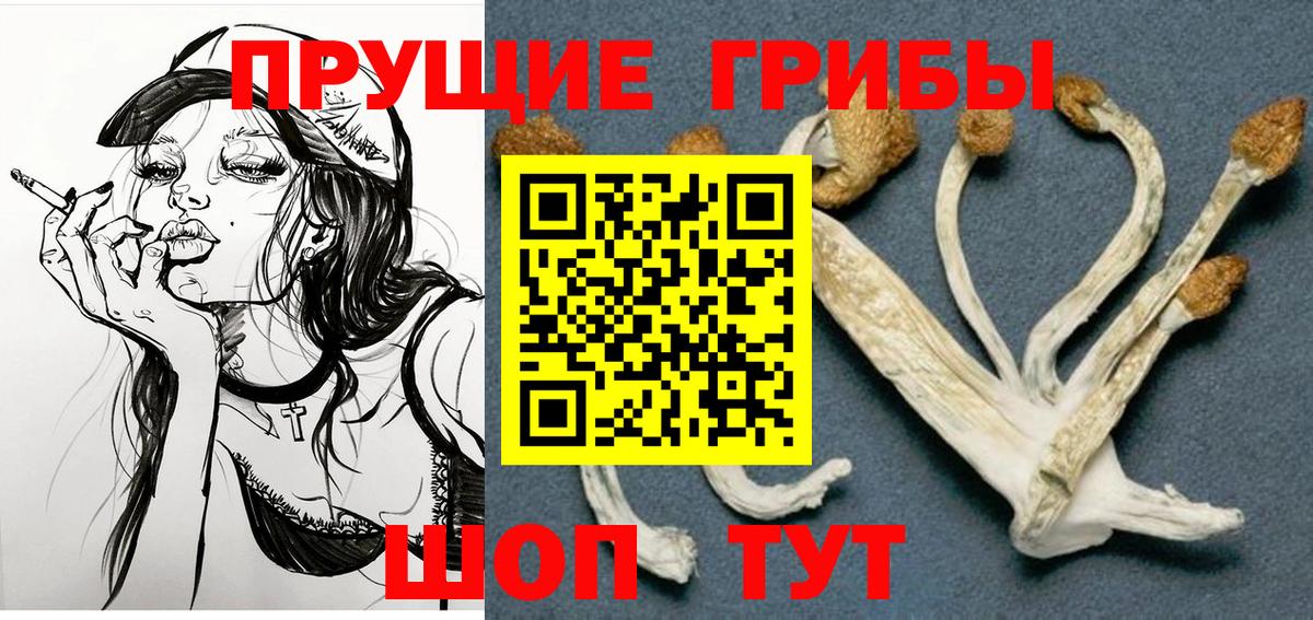 Галлюциногенные грибы Cubensis  Вход с VPN  Вологда 